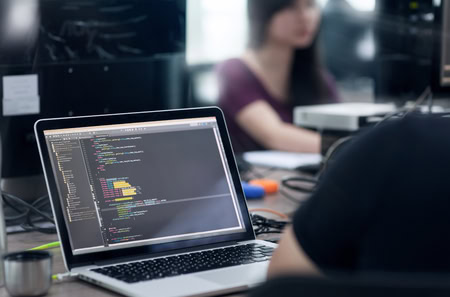 Software Developers