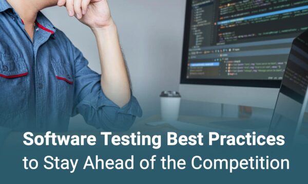 A man do Software Testing